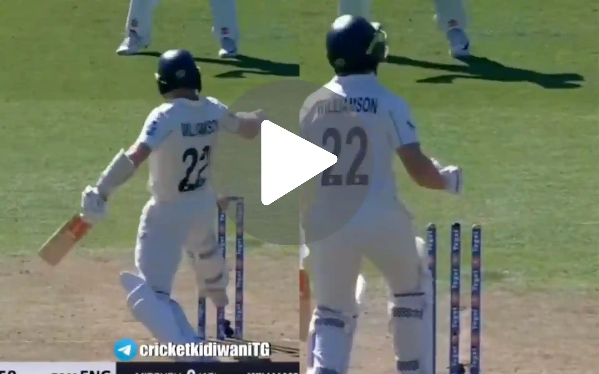 [Watch] Williamson's Comedy Of Errors Leads To His Hilarious Dismissal In 3rd Test